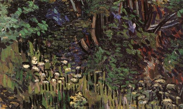 Vincent Van Gogh Details of Bushes Sweden oil painting art